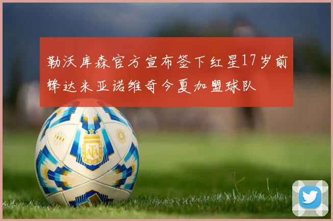 勒沃库森官方宣布签下红星17岁前锋达米亚诺维奇今夏加盟球队